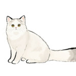 Clip Art