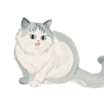 Clip Art